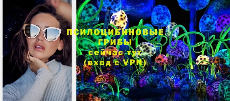 Галлюциногенные грибы Psilocybine cubensis  наркошоп  Мураши 